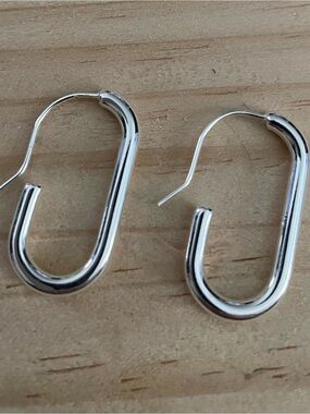 Silvertone earrings